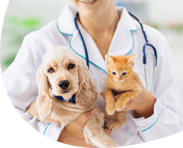 Careers at Britt Road Animal Hospital